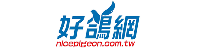 Nice Pigeon Taiwan