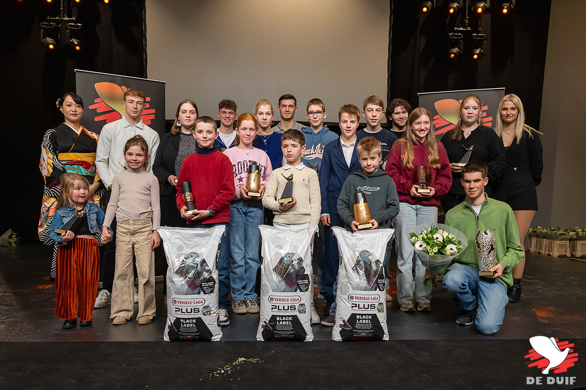 Gouden Duif Junior