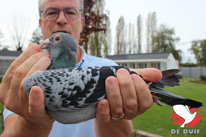 De tienjarige wereldtopper “Armando”, nog steeds in goeden doen. De tienjarige wereldtopper “Armando”, nog steeds in goeden doen.