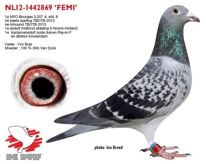 NL12-1442869 "Femi" NL12-1442869 "Femi"