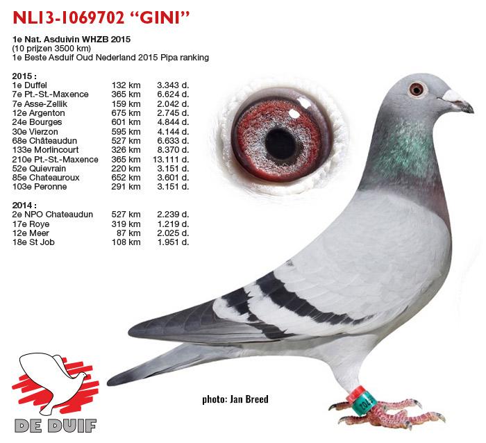NL13-1069702 "Gini" NL13-1069702 "Gini"