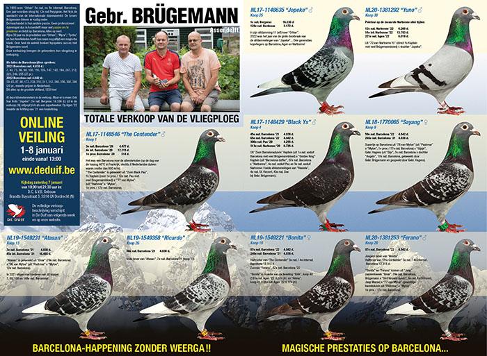 Online Auction Gebr. Brugemann