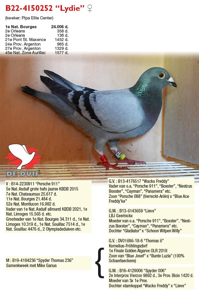 B22-4150252 “Lydie” B22-4150252 “Lydie”