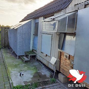 De hokken in Willebroek.