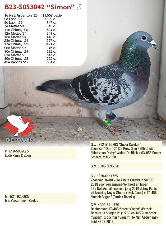 B23-5053042 “Simon” B23-5053042 “Simon”