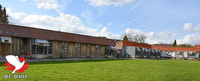 De hokken in Wevelgem. De hokken in Wevelgem.