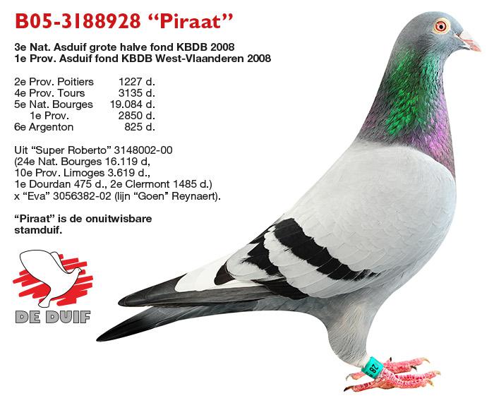 B05-3188928 “Piraat” B05-3188928 “Piraat”