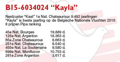 BE15-6034024 "Kayla" BE15-6034024 "Kayla"