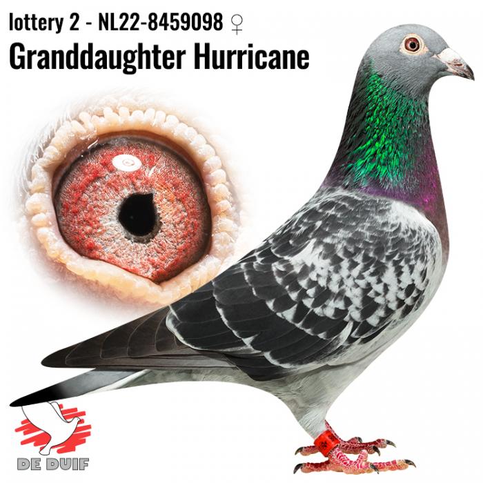 NL22-8459098 NL22-8459098