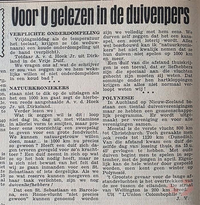 De Duif van 6 juni 1956. De Duif van 6 juni 1956.