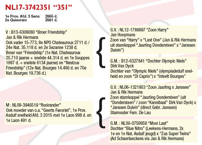 NL17-3742351 “351” NL17-3742351 “351”