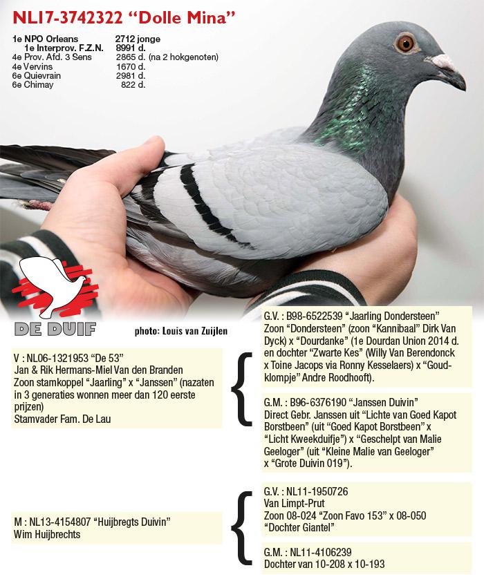 NL17-3742322 "Dolle Mina" NL17-3742322 "Dolle Mina"