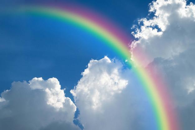 Alle kleuren van de regenboog.