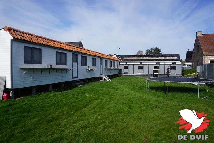 Het hok van de duivinnen, de jaarlingen en de jongen zware fond. Het hok van de duivinnen, de jaarlingen en de jongen zware fond.