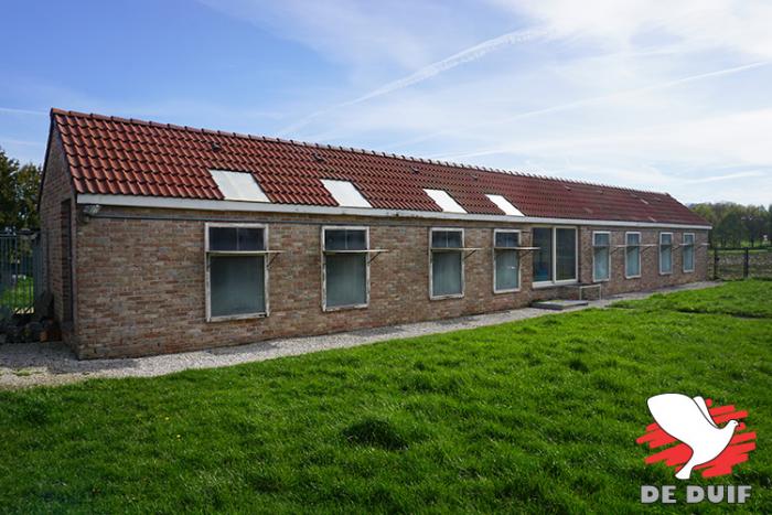 Het hok van de oude doffers en jaarlingen. Het hok van de oude doffers en jaarlingen.