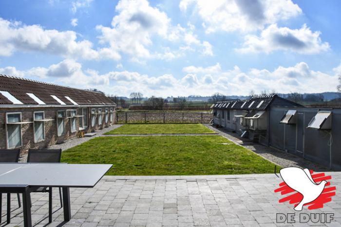De hokken in Melden. De hokken in Melden.