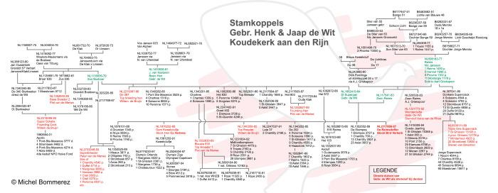 Stamkoppels Gebr. De Wit