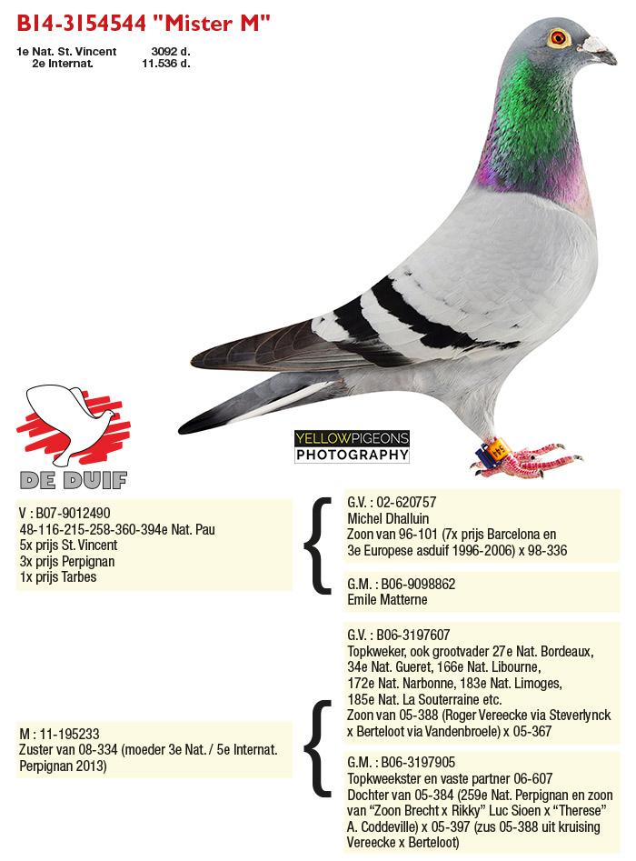 BE14-3154544 "Mister M" 