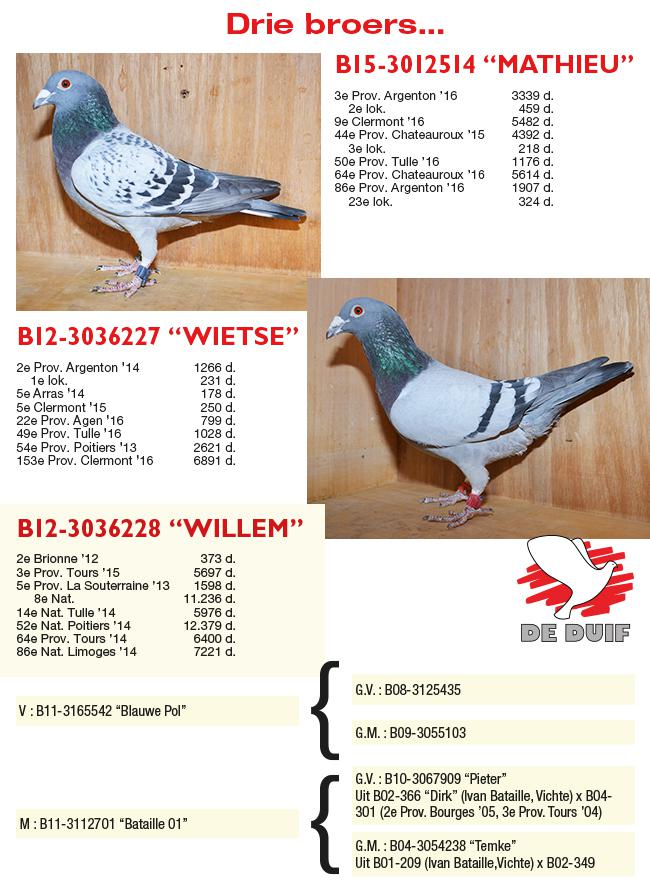Drie broers Drie broers