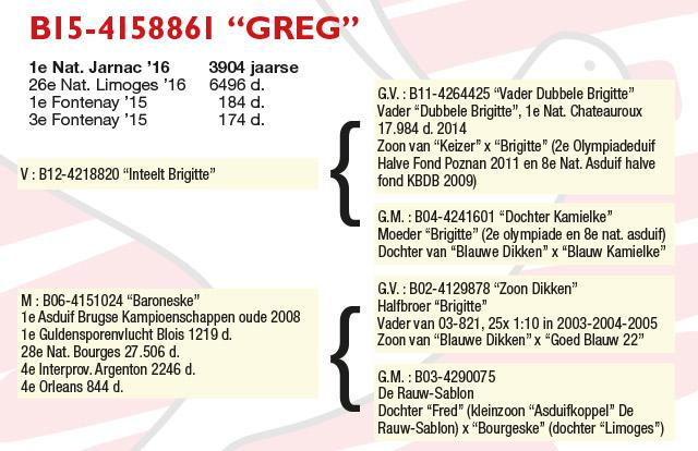 B15-4158861 "Greg" B15-4158861 "Greg"