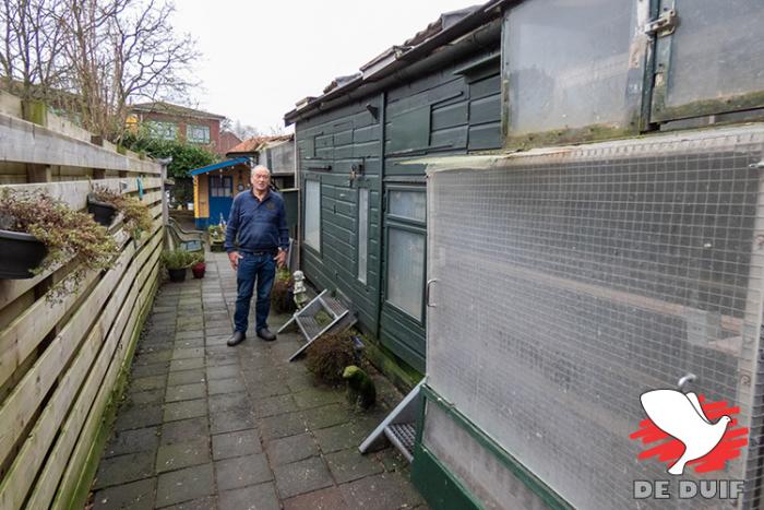 Wederom een bewijs dat je geen grote tuin met grote hokken nodig hebt om succesvol te zijn in de duivensport! Wederom een bewijs dat je geen grote tuin met grote hokken nodig hebt om succesvol te zijn in de duivensport!