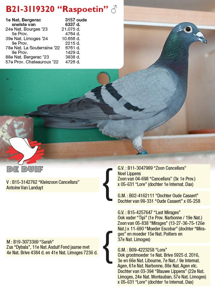 B21-3119320 “Raspoetin” B21-3119320 “Raspoetin”