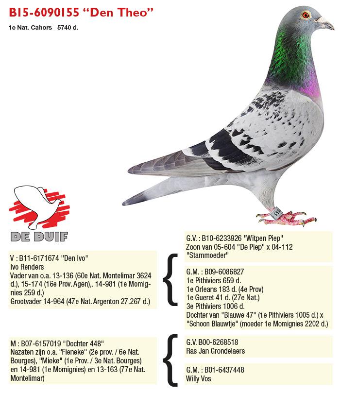 BE15-6090155 "Den Theo"