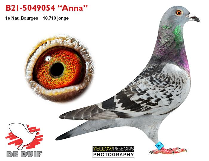 B21-5049054 “Anna” B21-5049054 “Anna”