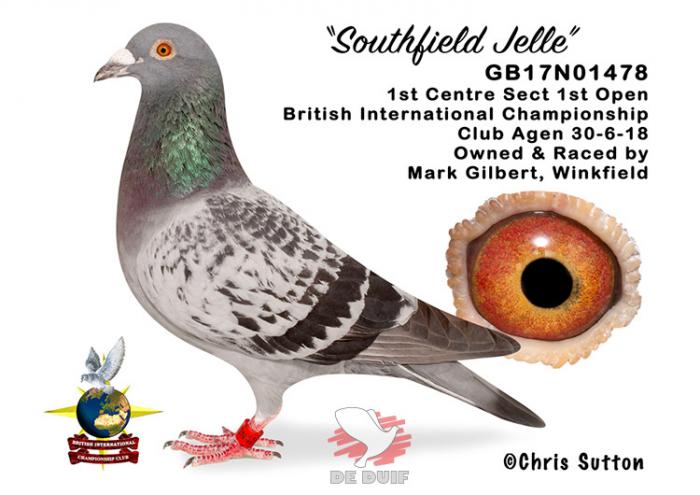 GB17N01478 "Southfield Jelle" GB17N01478 "Southfield Jelle"