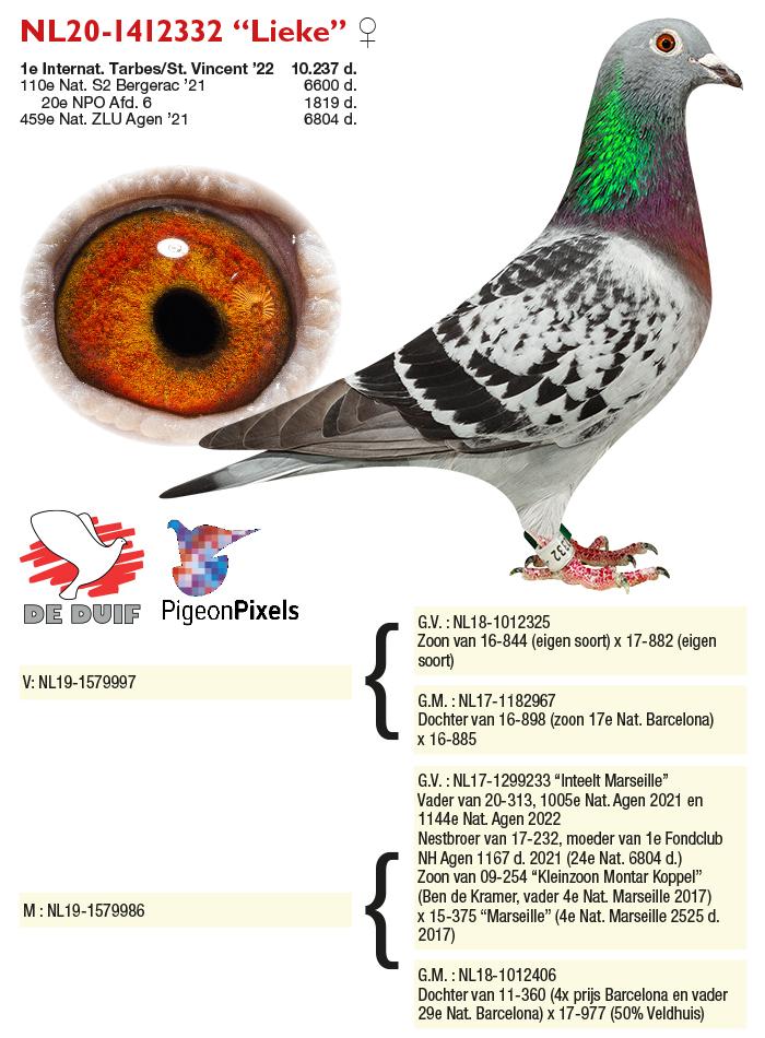 NL20-1412332 “Lieke”