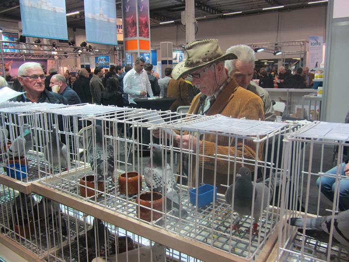 Voorjaarsbeurs Houten Voorjaarsbeurs Houten