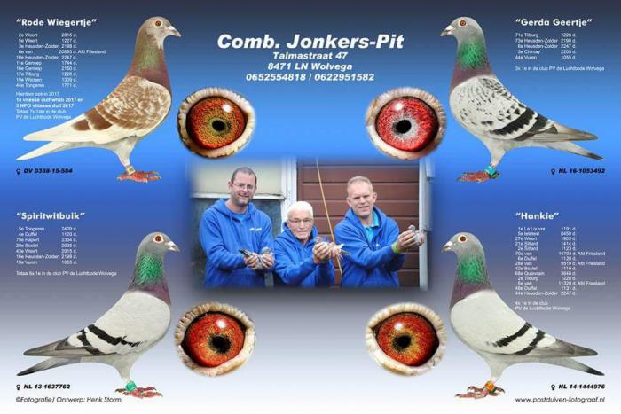 Jonkers-Pit