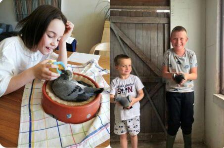 Mauro (5 jaar) en Imano (10 jaar) Paternoster uit Sint-Lievens-Houtem. Mauro (5 jaar) en Imano (10 jaar) Paternoster uit Sint-Lievens-Houtem.