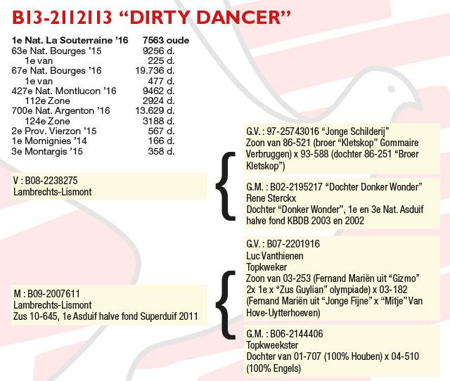 B13-2112113.jpg "Dirty Dancer" Pedigree van B13-2112113.jpg "Dirty Dancer"