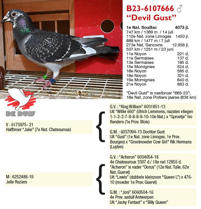 B23-6107666 “Devil Gust” B23-6107666 “Devil Gust”