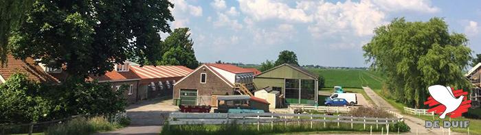 De hokken in Rijnsaterwoude. De hokken in Rijnsaterwoude.