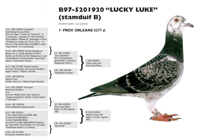 Lucky Luke Lucky Luke