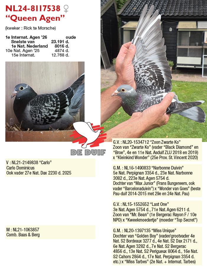 NL24-8117538 “Queen Agen” NL24-8117538 “Queen Agen”