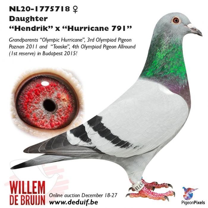 NL20-1775718 NL20-1775718