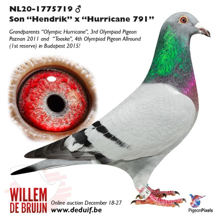 NL20-1775719 NL20-1775719