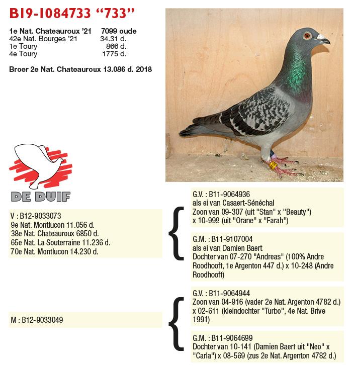 B19-1084733 “733” B19-1084733 “733”