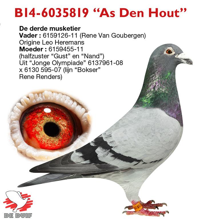B14-6035819 “As Den Hout” B14-6035819 “As Den Hout”