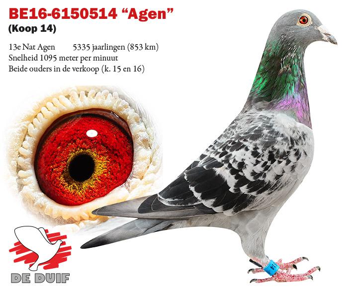 BE16-6150514 "Agen"