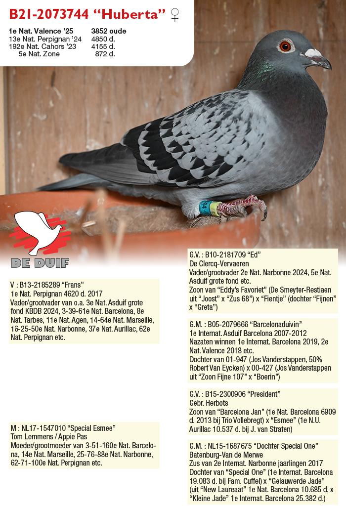 B21-2073744 “Huberta” B21-2073744 “Huberta”