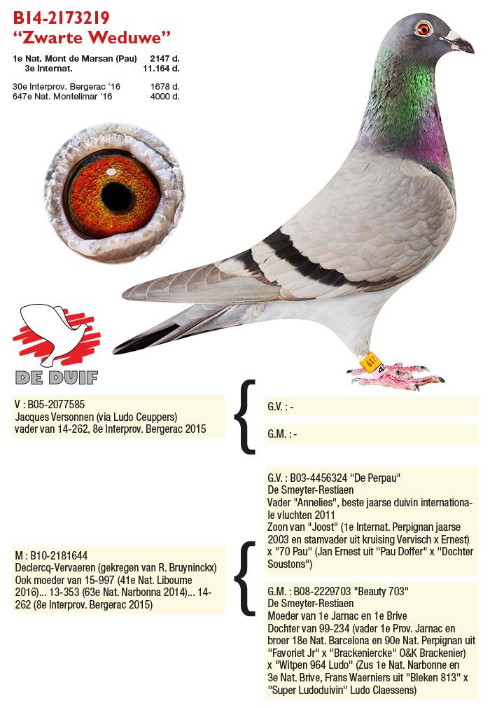 BE14-2173219 "Zwarte Weduwe" BE14-2173219 "Zwarte Weduwe"