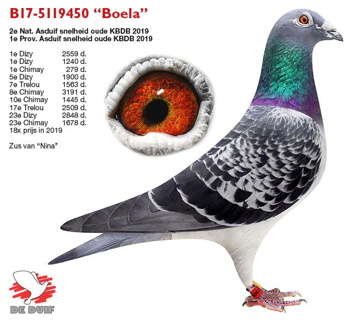B17-5119450 “Boela” B17-5119450 “Boela”