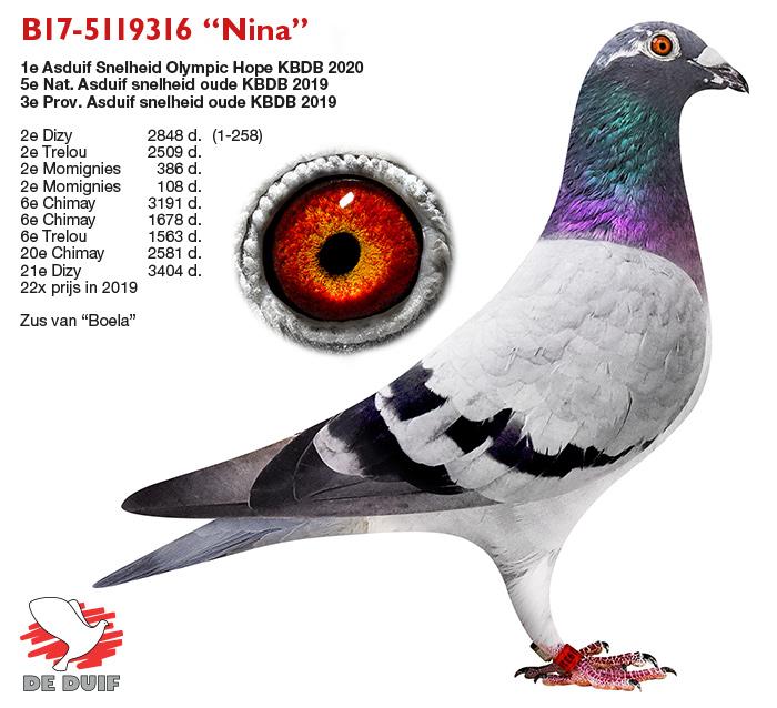 B17-5119316 “Nina” B17-5119316 “Nina”