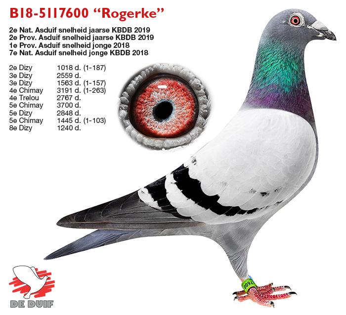 B18-5117600 “Rogerke” B18-5117600 “Rogerke”