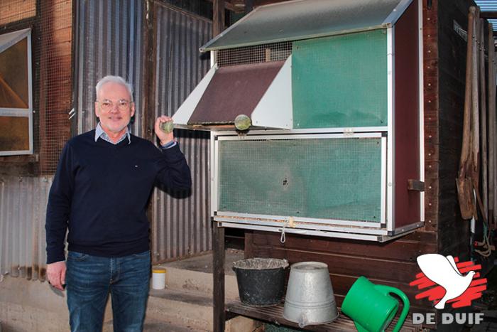 Michael bij het kleine hok, waar tijdens de week de duivinnen zonder te dralen of aarzelen naar binnen lopen. Echter bij thuiskomst van een vlucht, gaan ze steeds onmiddellijk op het hok van de weduwnaars binnen. Michael bij het kleine hok, waar tijdens de week de duivinnen zonder te dralen of aarzelen naar binnen lopen. Echter bij thuiskomst van een vlucht, gaan ze steeds onmiddellijk op het hok van de weduwnaars binnen.
