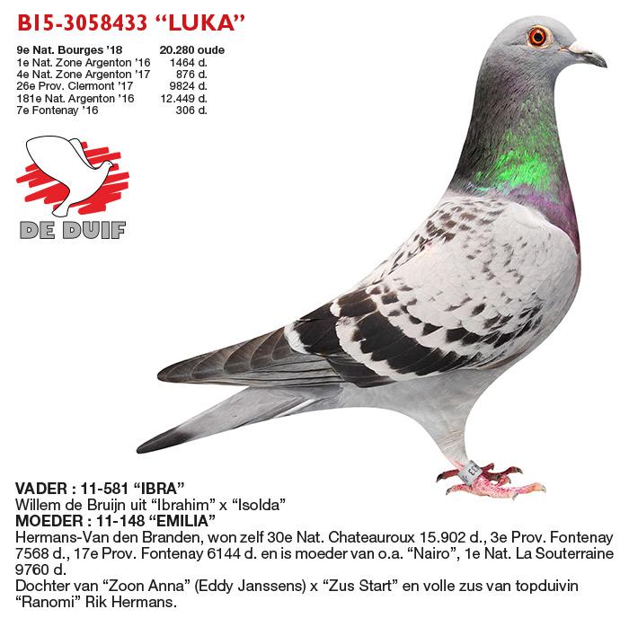 B15-3058433 “Luka”